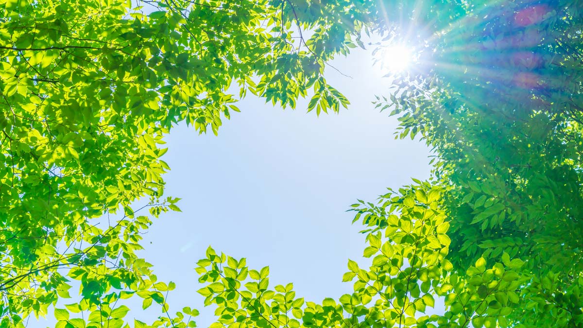 メインビジュアル